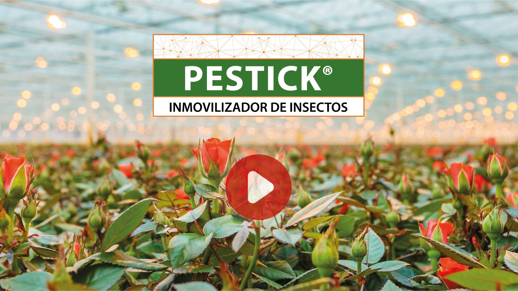 Pestick