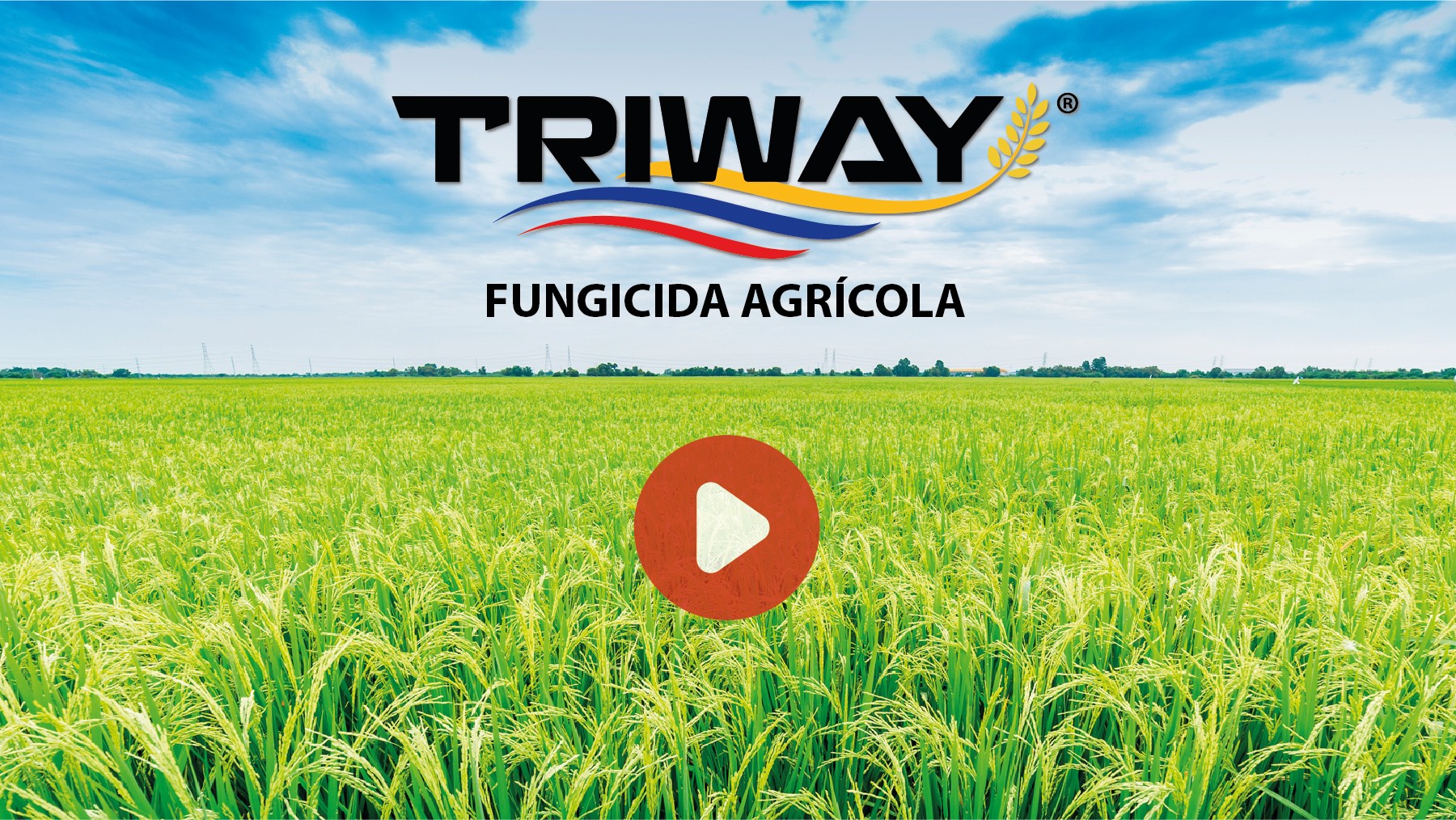 Triway